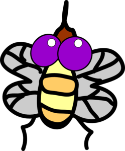 Cartoon Fly Clip Art